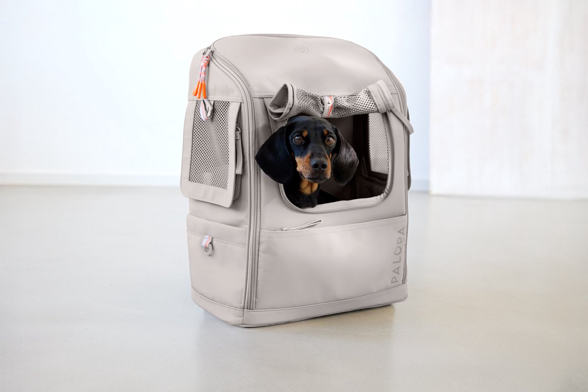 Palopa rugzak-draagtas voor de hond Kari - Taupe / S