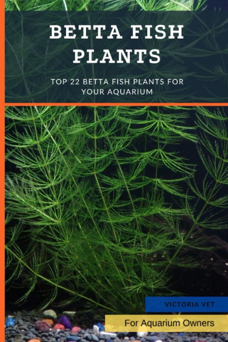 Betta Vis Planten - Aquarium Gids - Vis Verzorging - Gezonde Vissen - 15.24 x 0.36 x 22.86 cm