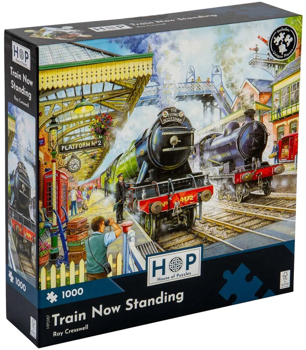 Train Now Standing Puzzel 1000 Stukjes