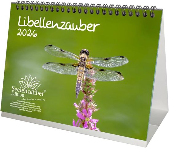Kadettenkonzerte 2026 à Huttwil | Concerts de musique de fanfare