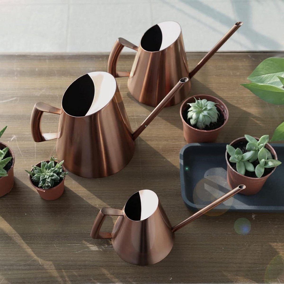 Gieter Roestvrij Staal - Waterkruik Planten - Planten Water Geven - Lange Nauwkeurige Uitloop - Tot 1500 Ml - Brons