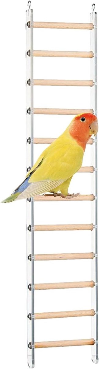 Vogel Speeltuin - Klimtouw Schommel - Vogel Training - 360° Draaibare Haak - 25 cm - Multicolor