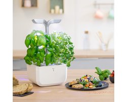 Veritable Exky Smart Wit - Keukenmoestuin - Indoor Smart Garden