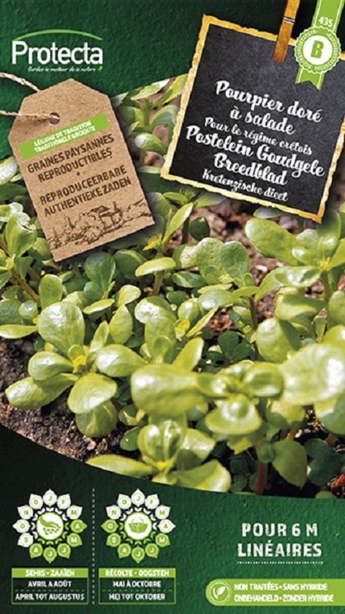 Protecta Groente zaden: Postelein Goudgele Breedblad