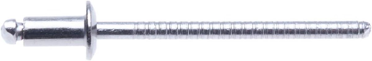 Blindklinknagels Roestvrij Staal - Popnagels Metaal - Metaal Bevestigen - A2 Roestvrij Staal - 3.2x6mm 100 stuks - Zilverkleurig