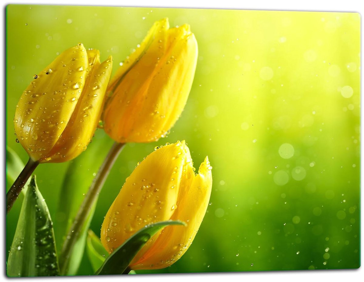 TMK ArtDeko - Snijplank - Glas - 52x40 cm - Kleurige Bloemen