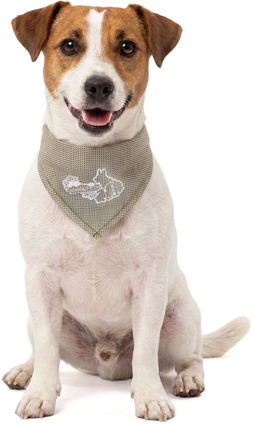 CoolPets Collier Rafraîchissant Chien S - Bandana Rafraîchissant Chien - Bandana Rafraîchissant Collier Chien - Collier Rafraîchissant - Rafraîchissement Chien - 45 x 20 cm - Beige