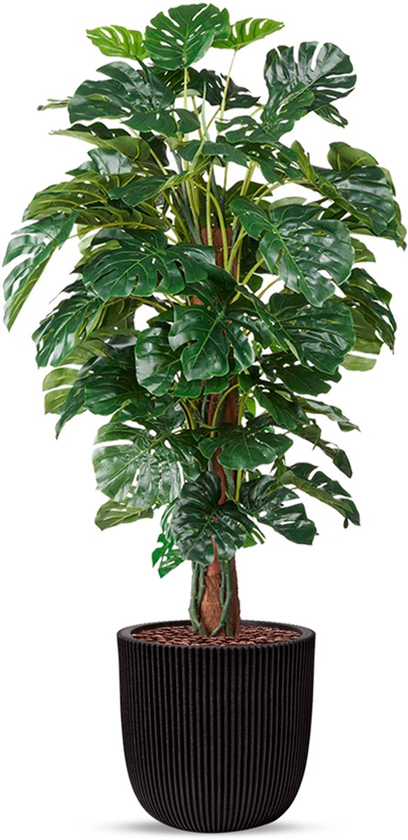 HTT Decorations Kunstplant Monstera in planter ball Groove zwart H170 cm