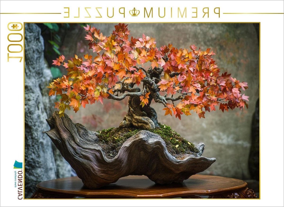 Puzzel Bonsai - Legpuzzel Natuur - Ontspannend Puzzelplezier - Premium Kwaliteit Europa - 1000 stukjes 64x48 cm - Niet gespecificeerd