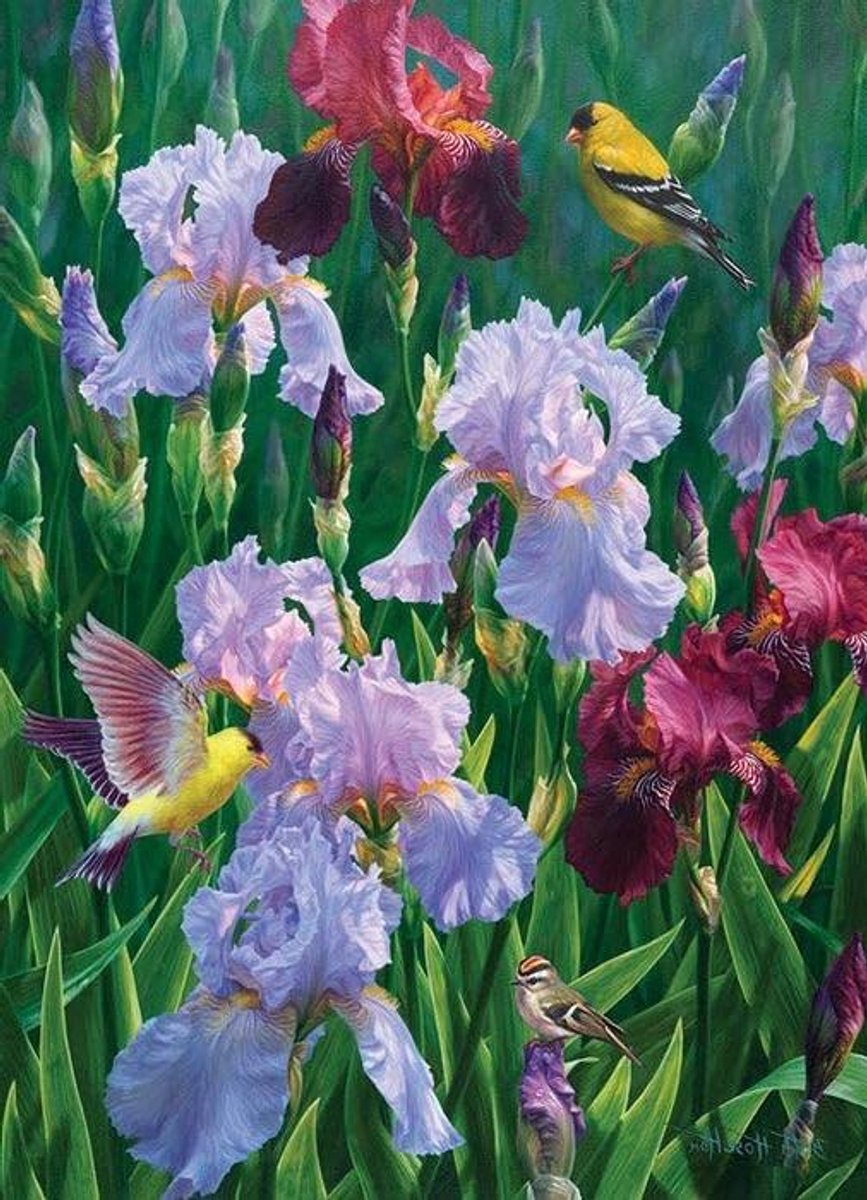 Legpuzzel 1000 stukjes - Puzzel Bloemen - Ontspannen Tijdverdrijf - Willekeurig Gesneden Stukken - 26.5 x 19.2 inch - Multicolor