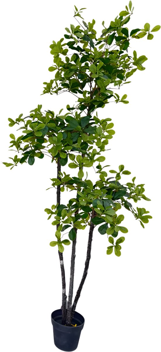 Happiq Kunstmatige Olijfboom 180 cm - Voor Thuiskantoor & Woondecor - Kunstzijde Boom met Natuurlijke Houten Stam, UV-Bestendig in Nep Pot - Groen-180cm