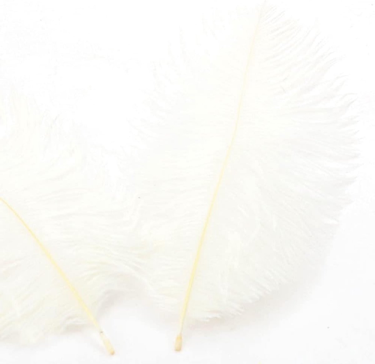 Natuurlijke Struisvogelveren, 20 Stuks, 15-20 cm, voor Creatieve Projecten, DIY Dromenvangers, Feestdecoratie en Kostuums