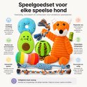 Een hondenspeeltjes set met een blauwe donut, groen avocado speeltje, regenboog speeltje, oranje vos speeltje, groene bal en touwen.