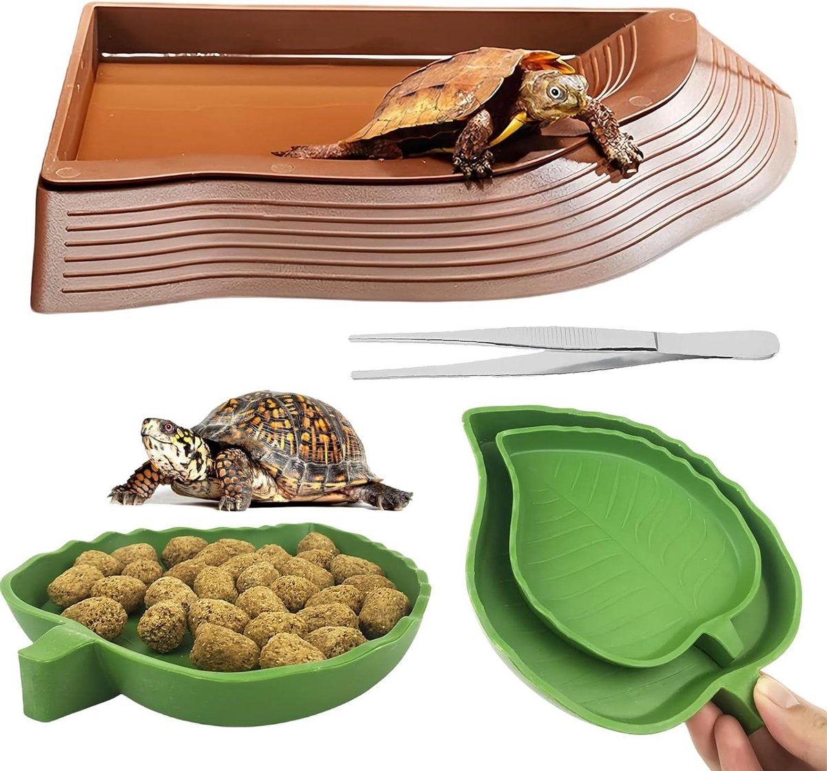 Reptielen Voerbak - Waterschaal Set - Terrarium Inrichting - 4-delig Inclusief Pincet - 30x27x6 cm - Bruin Groen