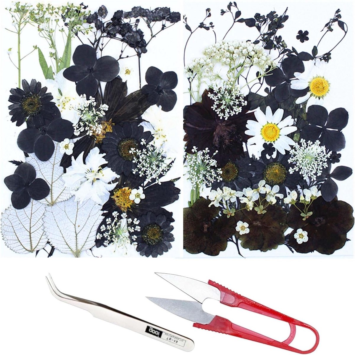 60 Stuks Natuurlijke Gedroogde Bloemen en Bladeren in Zwart en Wit voor Resin, Scrapbooking en Epoxy Sieraden