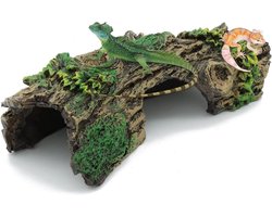 Natuurlijke Driftwood Decoratie voor Aquarium, 14 x 6 x 5.5 cm, Perfect voor Planten en Schuilplaatsen in Kleine en Middelgrote Aquaria