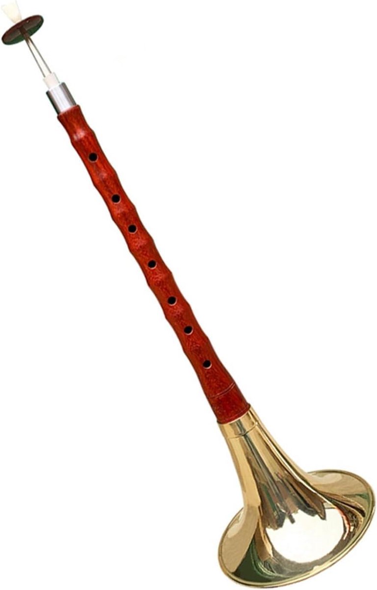 Muziekinstrument Set - Folk Instrument - Muziek Leren - Palissander Hout - 20x20x10 cm - Natuurlijk