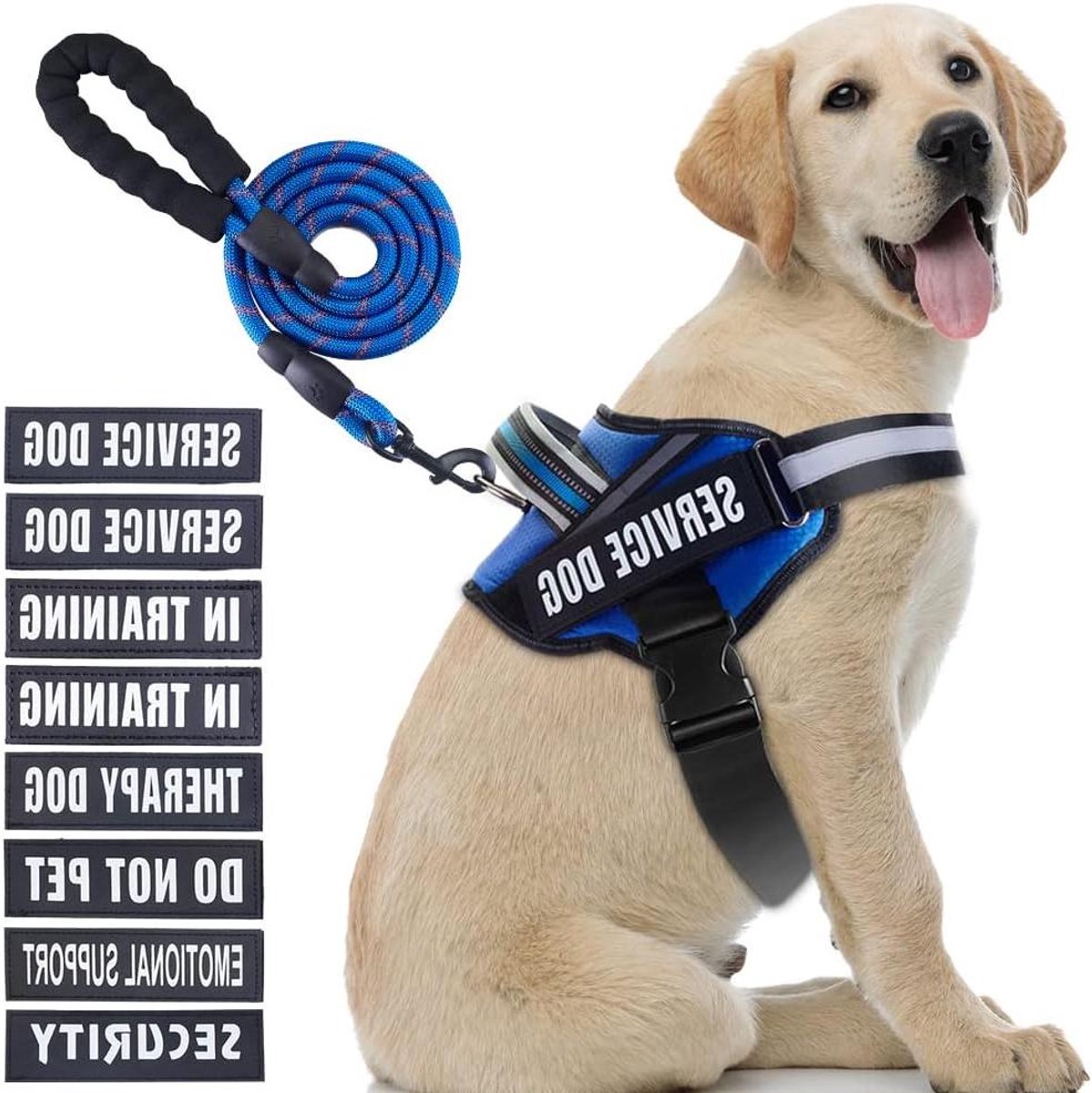 Honden Tuigje met Lijn - Servicehond Vest - Hond Trainen - Met 10 Verwisselbare Patches - L: 67-91cm Borstomvang - Blauw
