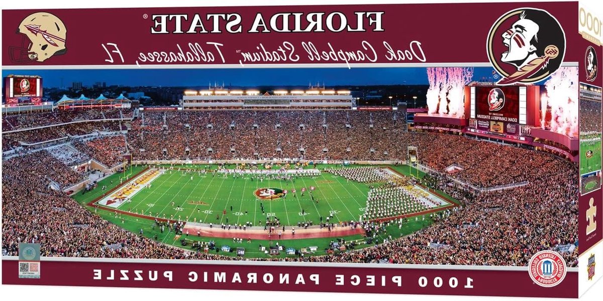 Puzzel 1000 Stukjes - Legpuzzel Panorama - Ontspannen Vrije Tijd - Gerecycled Materiaal - 13 x 39 Inch - Stadion Kleuren