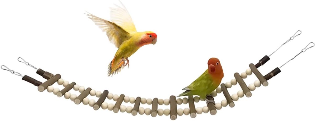 Vogelkooiladder, houten parkiet schommelbrug met haken - houten valkparkiet schommel - voor valkparkiet hamster fret dwergpapegaaien conure ara's eekhoorn klein dier