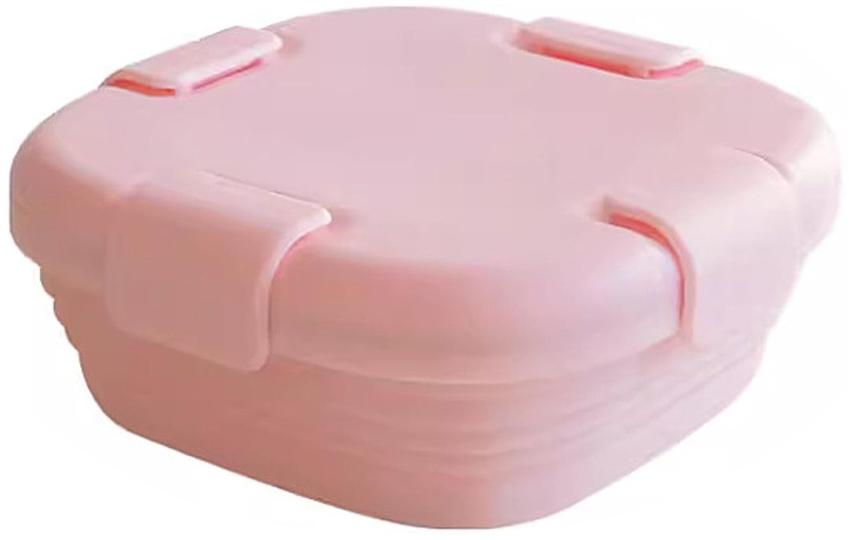 Dailygoods- Lunchbox Opvouwbaar - Siliconen - Stapelbaar - Voor Camping/Picknick - Duurzaam - Geschikt voor Vriezer - Voorradendozen
