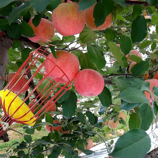 Fruitplukker met mand - Fruitgrijper stok - Fruit oogsten - Telescopische paal - Tot 3.2 meter - Blauw — afbeelding 4