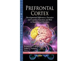 Prefrontal Cortex