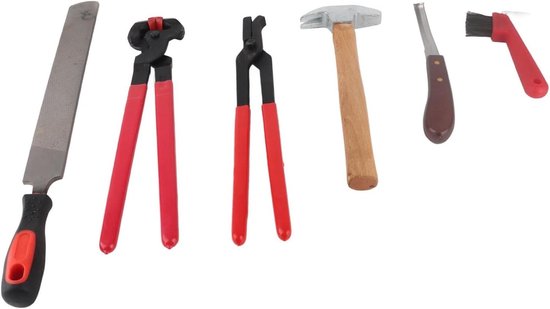 Hoefsmid Gereedschap Set - Paardenverzorging Kit - Hoef Onderhoud - Professionele Kwaliteit - 6 Delig - Zilverkleurig Hoefsmid Gereedschap Set - Paardenverzorging Kit - Hoef Onderhoud - Professionele Kwaliteit - 6 Delig - Zilverkleurig