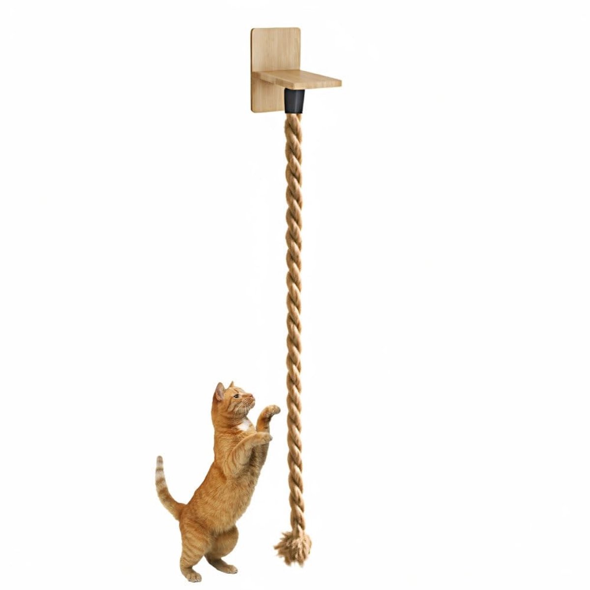 Dailygoods - Klimtouw voor Katten met Plankjes en Bevestigingsschroeven
