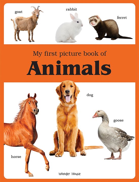 My First Picture Book of Animals - cover