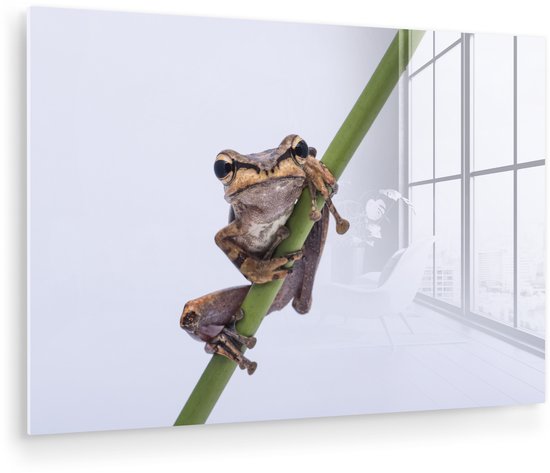 MuchoWow® Peinture sur verre 180x120 cm - Peinture sur verre acrylique - Grenouille - Branche - Grijs - Photo sur verre - Peintures