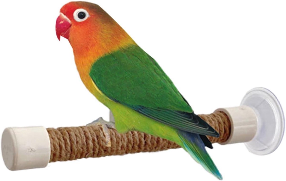 Raambaars Vogel - Zitstok Zuignap - Vogel Training - Veilige Zuignap Bevestiging - Maat L - Veelkleurig