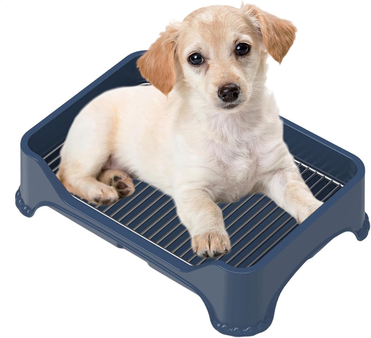 Honden Trainingsmat - Puppy Toilet - Binnen Zindelijk Maken - Roestvrij Staal - 52 x 365 cm - Zilver