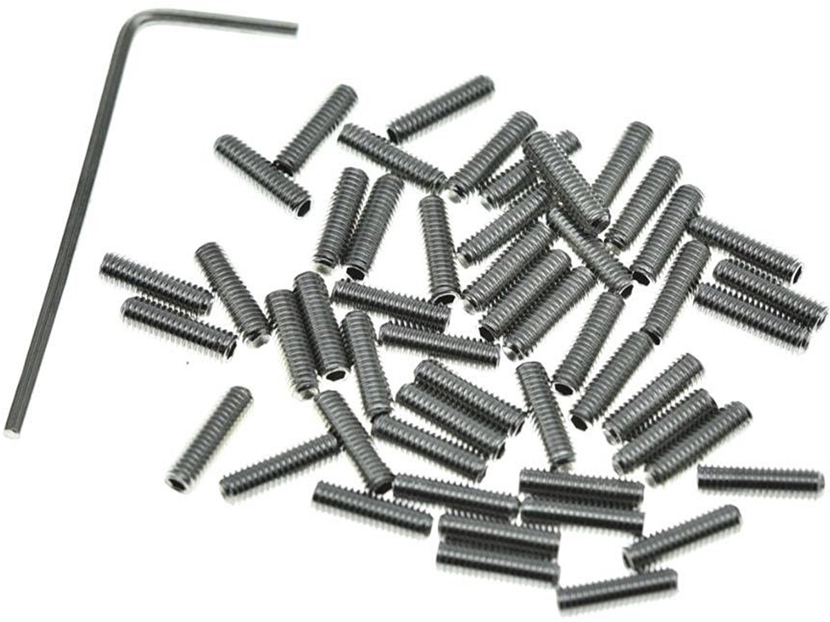100-pack M3x10mm roestvrijstalen hoogteverstelling schroeven voor gitaarbrug, geschikt voor Fender Stratocaster en Telecaster, perfect voor gitaaronderhoud en -afstelling