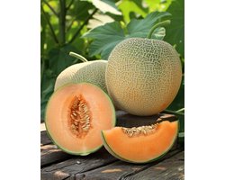 Klimmende Meloen Zaden Rampicante Zuccherino Cucumis Melo Eenjarig