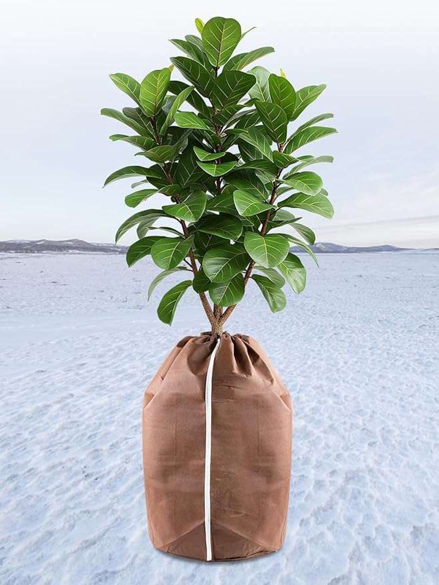CE - Plantenbeschermhoes - 65x70 cm - Winterbescherming - Bruin
