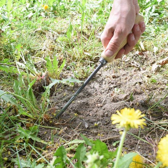 Onkruidsteker Essenhout - Wortelonkruid Verwijderaar - Onkruid uit gazon - Handgesmeed Kwaliteitsstaal - 36 cm Lengte - Natuurlijk — afbeelding 3