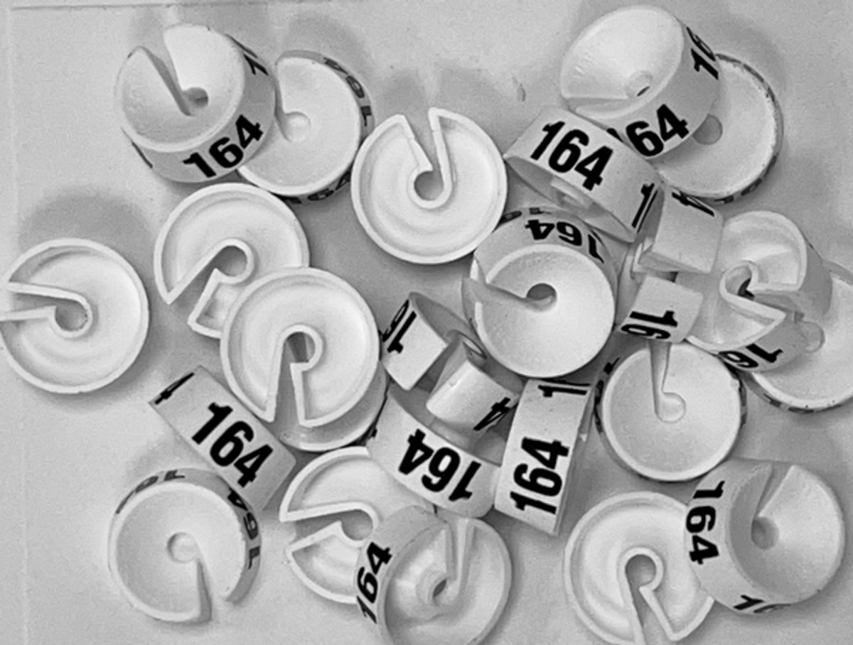 Bleijenberg Maatdopje maat 164 wit - Maataanduiding voor kledinghangers per 25 stuks - Maatringetje Ø 20 mm - Kledinghangers - Kleerhanger - Kapstok - Mark-Brics - wisersizer