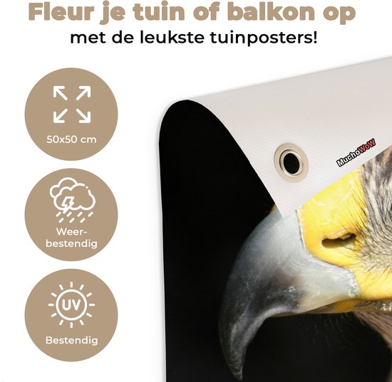 Posters de jardin Buse - Vogel - Zwart - 50x50 cm