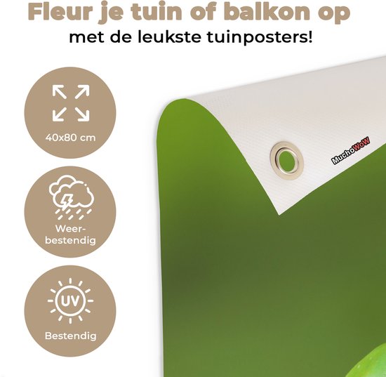 Tuinposter 40x80 cm - Tuindecoratie Kikkers - Tak - Groen - Poster voor in de tuin - Buiten decoratie - Schutting tuinschilderij - Tuindoek muurdecoratie - Wanddecoratie balkondoek