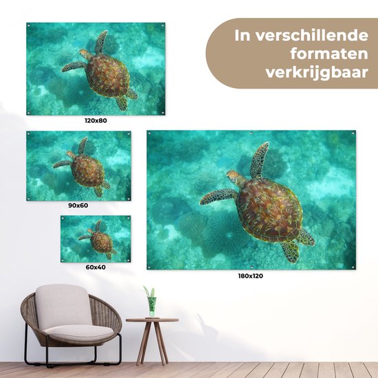Affiche de jardin Tortue de mer au Reef d'Apo - 100x60 cm - Décoration murale Outdoor - Affiche de jardin - Toile de jardin - Affiche de clôture - Tableau de jardin