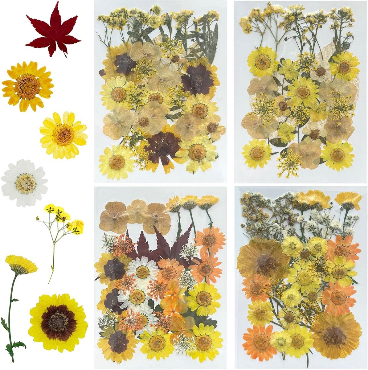 137 Stuks Natuurlijke Gedroogde Bloemen en Bladeren voor Resin, Scrapbooking en Epoxy Sieraden