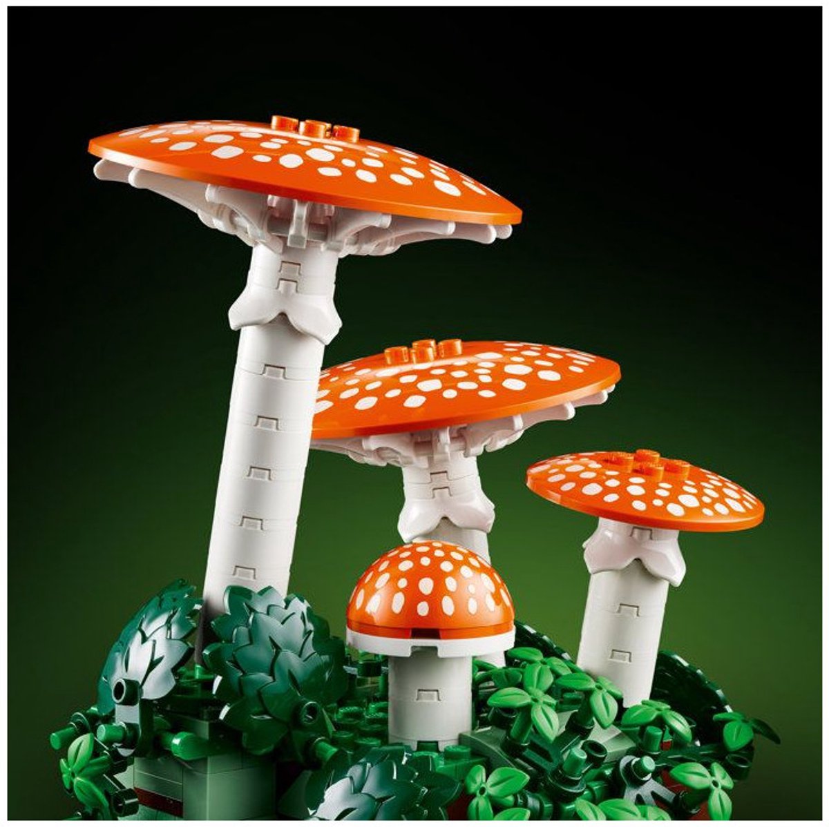 LEGO® Botanicals Bospaddenstoelen - 11505 — afbeelding 19