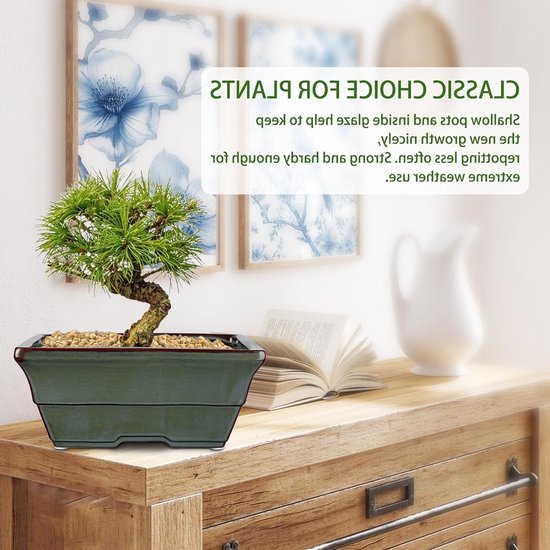 Set van 2 keramische bonsai potten met drainagegaten voor Japanse kamerplanten, retro tuindecoratie, diameter opening 25,5 cm — afbeelding 2