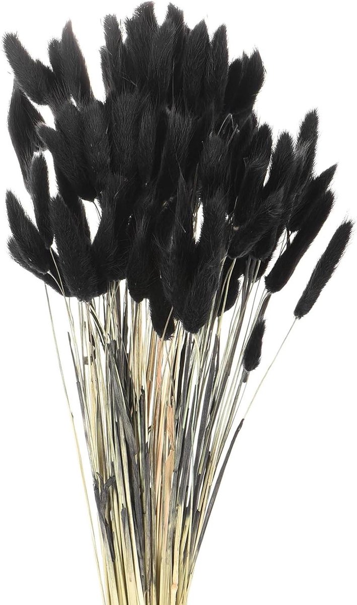 QUARKZMAN 120 stuks natuurlijke hazenstaart, gedroogde bloemen, 43 cm, mini pampasgras, voor bloemendecoraties, bruiloft, Kerstmis, zwart