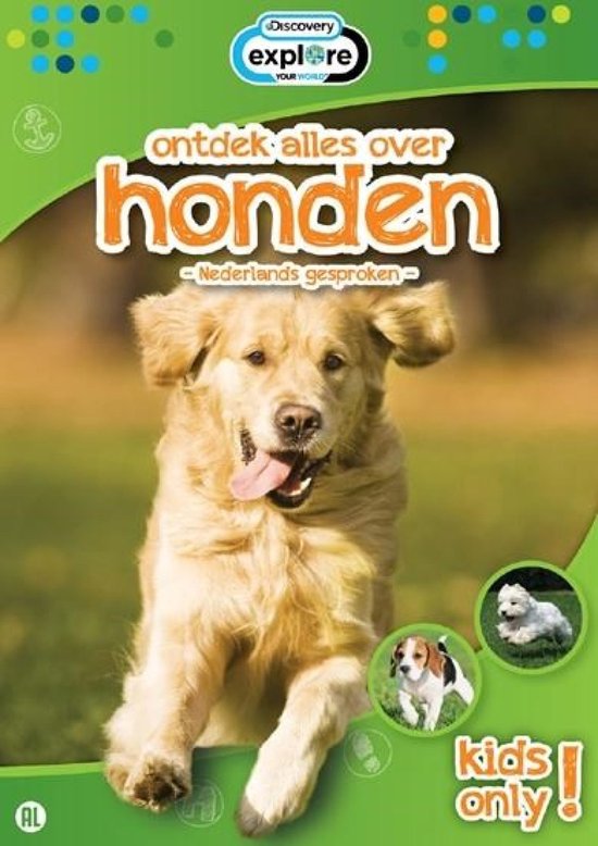 Een gouden retriever rent in het gras. Kleiner: een beagle en een witte hond. 'Ontdek alles over honden' met Discovery.