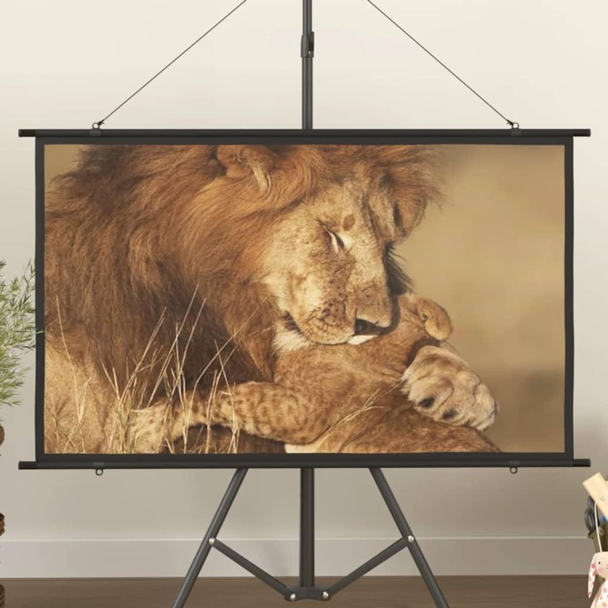Projectiescherm - Projector scherm - Films Kijken - Mat Wit Oppervlak - 50 inch 16:9 - Mat wit