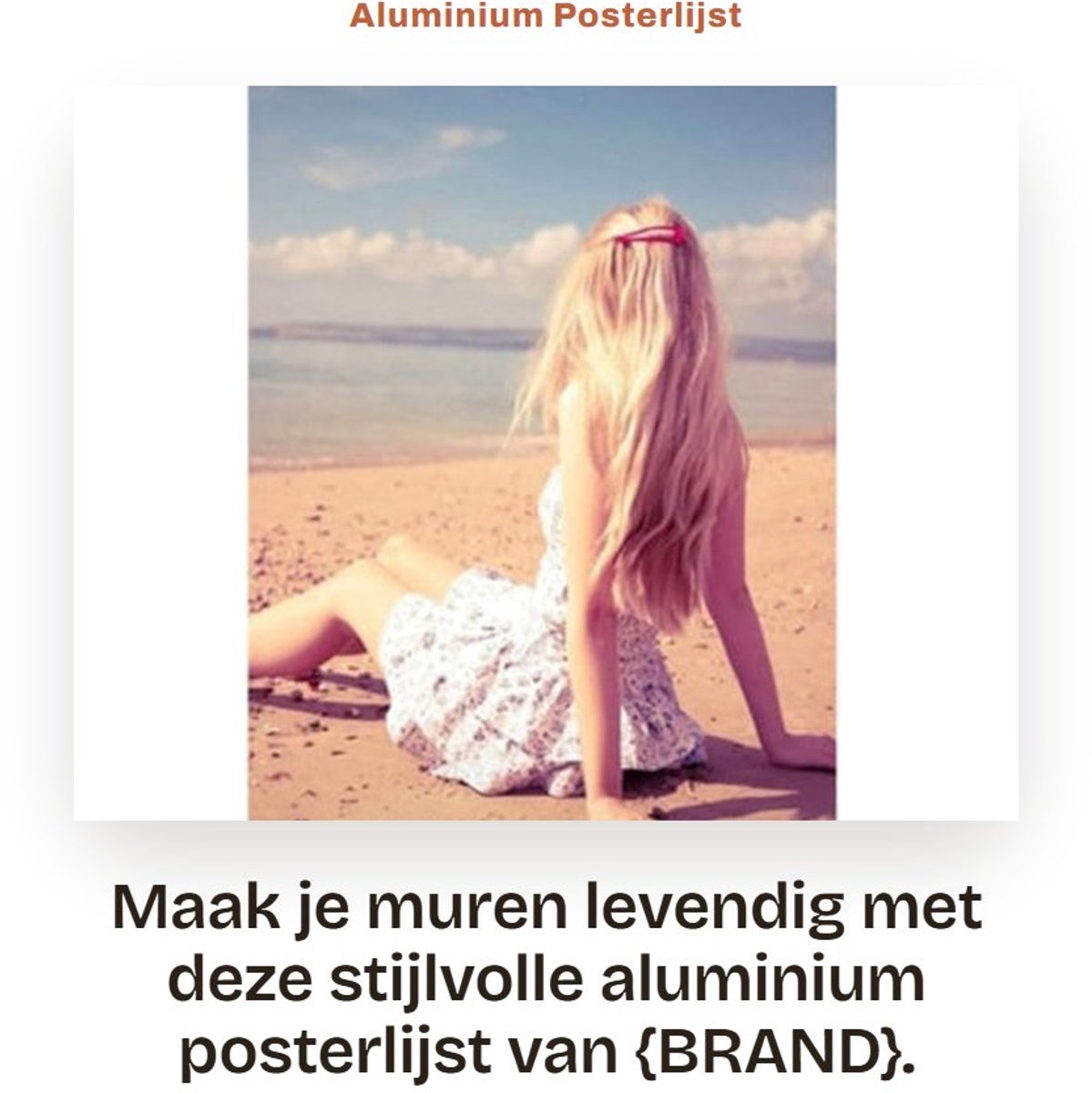 Dailygoods- Posterlijst Aluminium - Posterhangers - Metalen Lijst - Eenvoudige Installatie - Duurzaam - 1 m - Posterklem