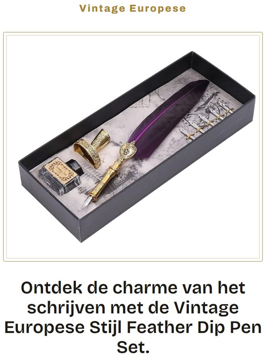 Dailygoods- Vulpen Vintage Stijl - Roestvrij Stalen Penpunt - Inktset - Slijtvast - Elegant Patroon - Zachte Veren - Verenpen
