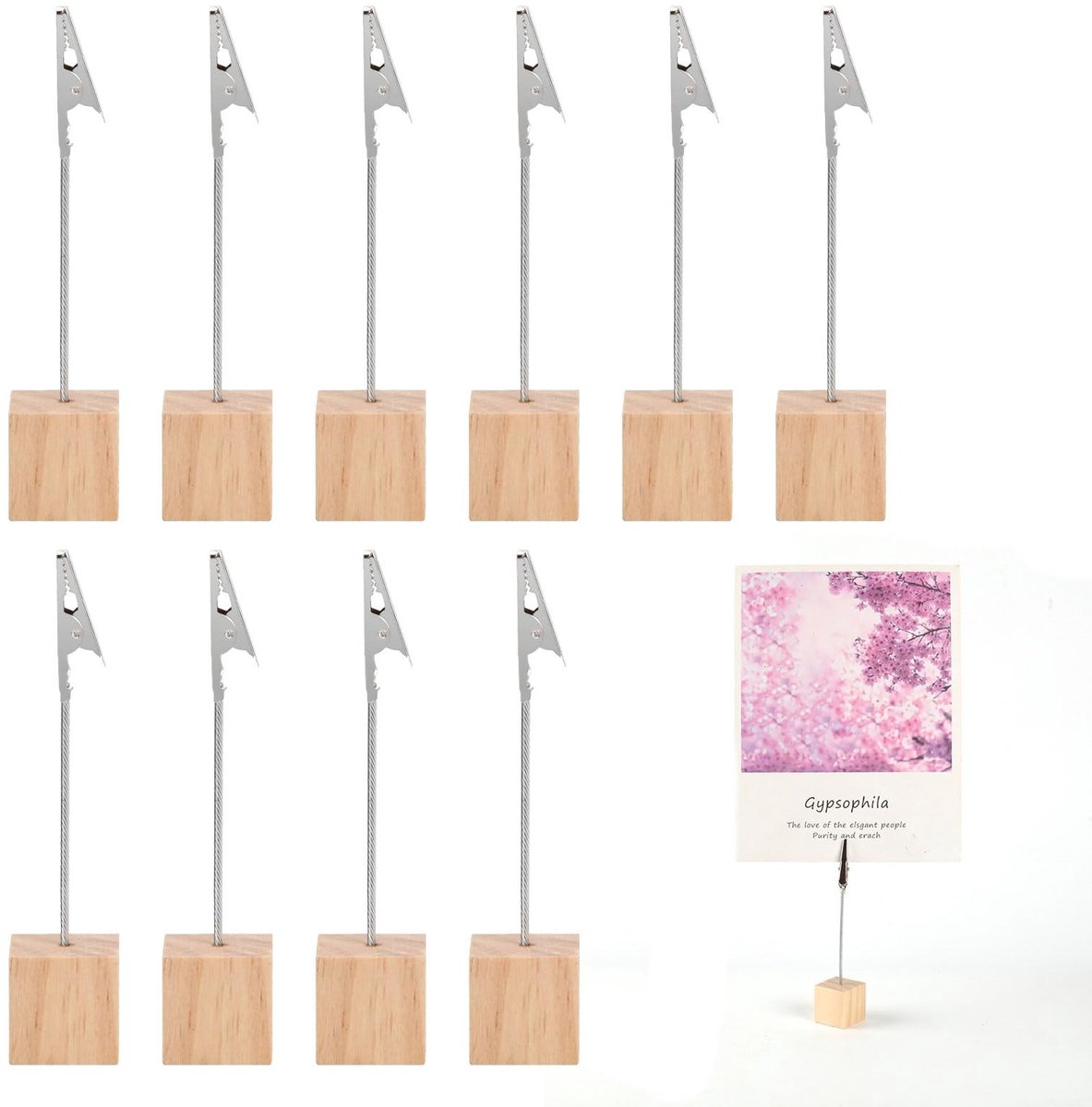 Dailygoods- Fotohouder met Clips - 10 Stuks - Ansichtenhouder - Krokodillenklem - Houten Basis - Duurzaam en Veilig in Gebruik - Cliphouder